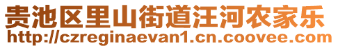 貴池區(qū)里山街道汪河農(nóng)家樂