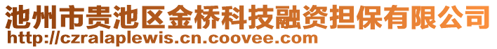 池州市貴池區(qū)金橋科技融資擔(dān)保有限公司