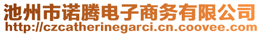 池州市諾騰電子商務(wù)有限公司