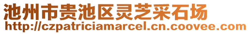 池州市貴池區(qū)靈芝采石場