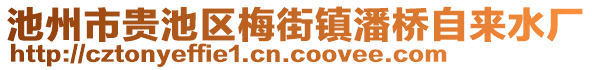 池州市貴池區(qū)梅街鎮(zhèn)潘橋自來水廠