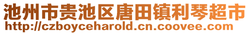 池州市貴池區(qū)唐田鎮(zhèn)利琴超市