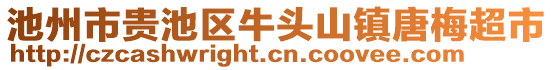 池州市貴池區(qū)牛頭山鎮(zhèn)唐梅超市