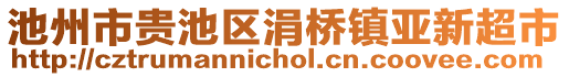 池州市貴池區(qū)涓橋鎮(zhèn)亞新超市