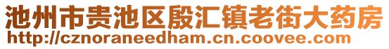 池州市貴池區(qū)殷匯鎮(zhèn)老街大藥房