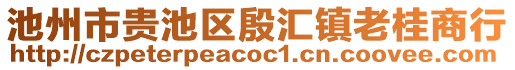 池州市貴池區(qū)殷匯鎮(zhèn)老桂商行