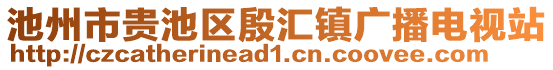 池州市貴池區(qū)殷匯鎮(zhèn)廣播電視站