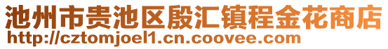 池州市貴池區(qū)殷匯鎮(zhèn)程金花商店