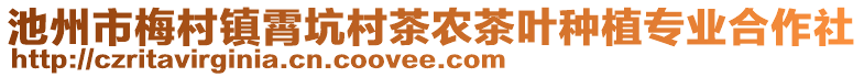 池州市梅村鎮(zhèn)霄坑村茶農(nóng)茶葉種植專業(yè)合作社