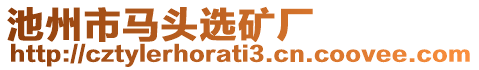 池州市馬頭選礦廠