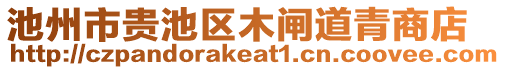 池州市貴池區(qū)木閘道青商店