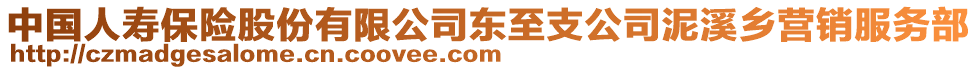 中國(guó)人壽保險(xiǎn)股份有限公司東至支公司泥溪鄉(xiāng)營(yíng)銷(xiāo)服務(wù)部