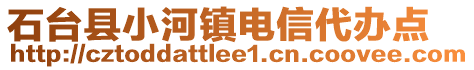 石臺縣小河鎮(zhèn)電信代辦點