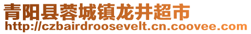 青陽縣蓉城鎮(zhèn)龍井超市