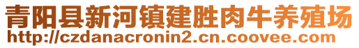 青陽(yáng)縣新河鎮(zhèn)建勝肉牛養(yǎng)殖場(chǎng)