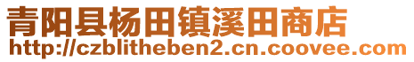 青陽縣楊田鎮(zhèn)溪田商店