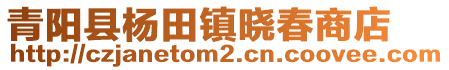 青陽(yáng)縣楊田鎮(zhèn)曉春商店