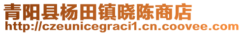 青陽縣楊田鎮(zhèn)曉陳商店