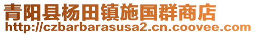 青陽縣楊田鎮(zhèn)施國群商店