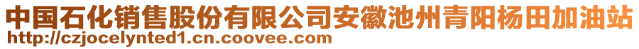 中國石化銷售股份有限公司安徽池州青陽楊田加油站