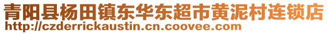 青陽縣楊田鎮東華東超市黃泥村連鎖店