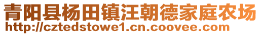 青陽縣楊田鎮(zhèn)汪朝德家庭農(nóng)場