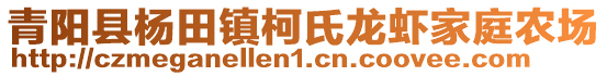 青陽縣楊田鎮(zhèn)柯氏龍蝦家庭農(nóng)場