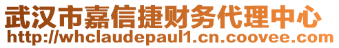 武漢市嘉信捷財務(wù)代理中心