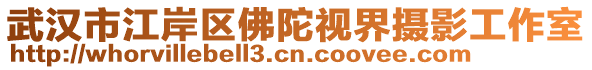 武漢市江岸區(qū)佛陀視界攝影工作室