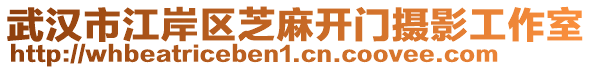 武漢市江岸區(qū)芝麻開門攝影工作室