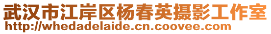 武漢市江岸區(qū)楊春英攝影工作室