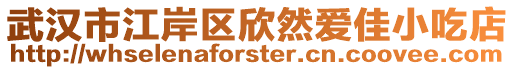 武漢市江岸區(qū)欣然愛佳小吃店