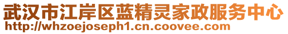 武漢市江岸區(qū)藍(lán)精靈家政服務(wù)中心