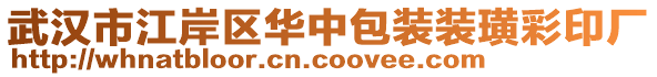 武漢市江岸區(qū)華中包裝裝璜彩印廠