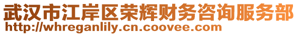 武漢市江岸區(qū)榮輝財務(wù)咨詢服務(wù)部