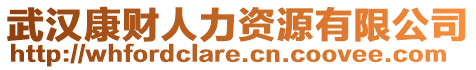 武漢康財人力資源有限公司