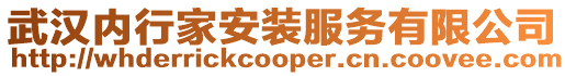 武漢內(nèi)行家安裝服務(wù)有限公司