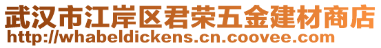 武漢市江岸區(qū)君榮五金建材商店