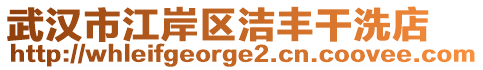 武漢市江岸區(qū)潔豐干洗店