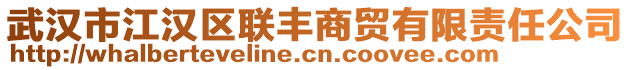 武漢市江漢區(qū)聯(lián)豐商貿(mào)有限責(zé)任公司