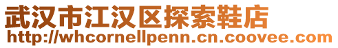 武漢市江漢區(qū)探索鞋店