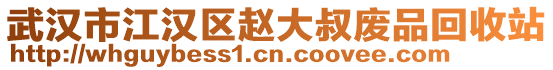 武漢市江漢區(qū)趙大叔廢品回收站