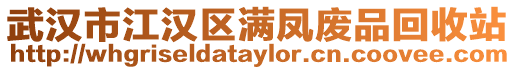 武漢市江漢區滿鳳廢品回收站