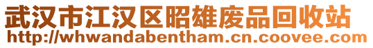 武漢市江漢區(qū)昭雄廢品回收站
