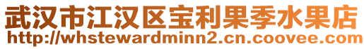 武漢市江漢區寶利果季水果店