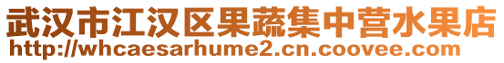 武漢市江漢區(qū)果蔬集中營水果店