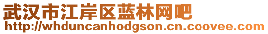 武漢市江岸區藍林網吧