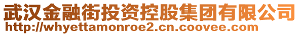 武漢金融街投資控股集團有限公司