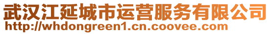 武漢江延城市運(yùn)營服務(wù)有限公司