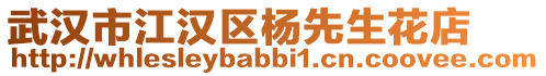 武漢市江漢區(qū)楊先生花店